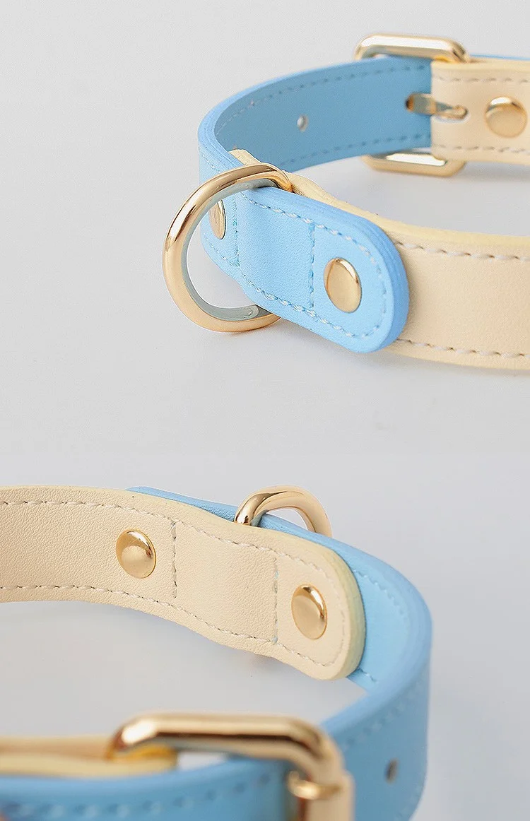 Leather pet collar for cat and dogs color blocking design leather dog collar with leash set waterproof luxury outdoor pet rope