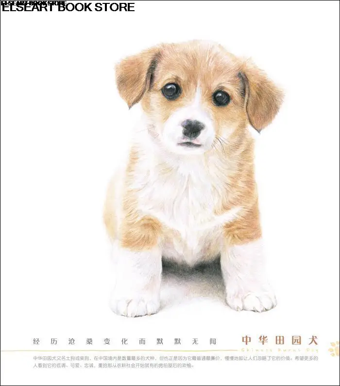 Chinese color pencil drawing books for adult dog paintings line drawing Tutorial book Hand-painted animal pet art textbook