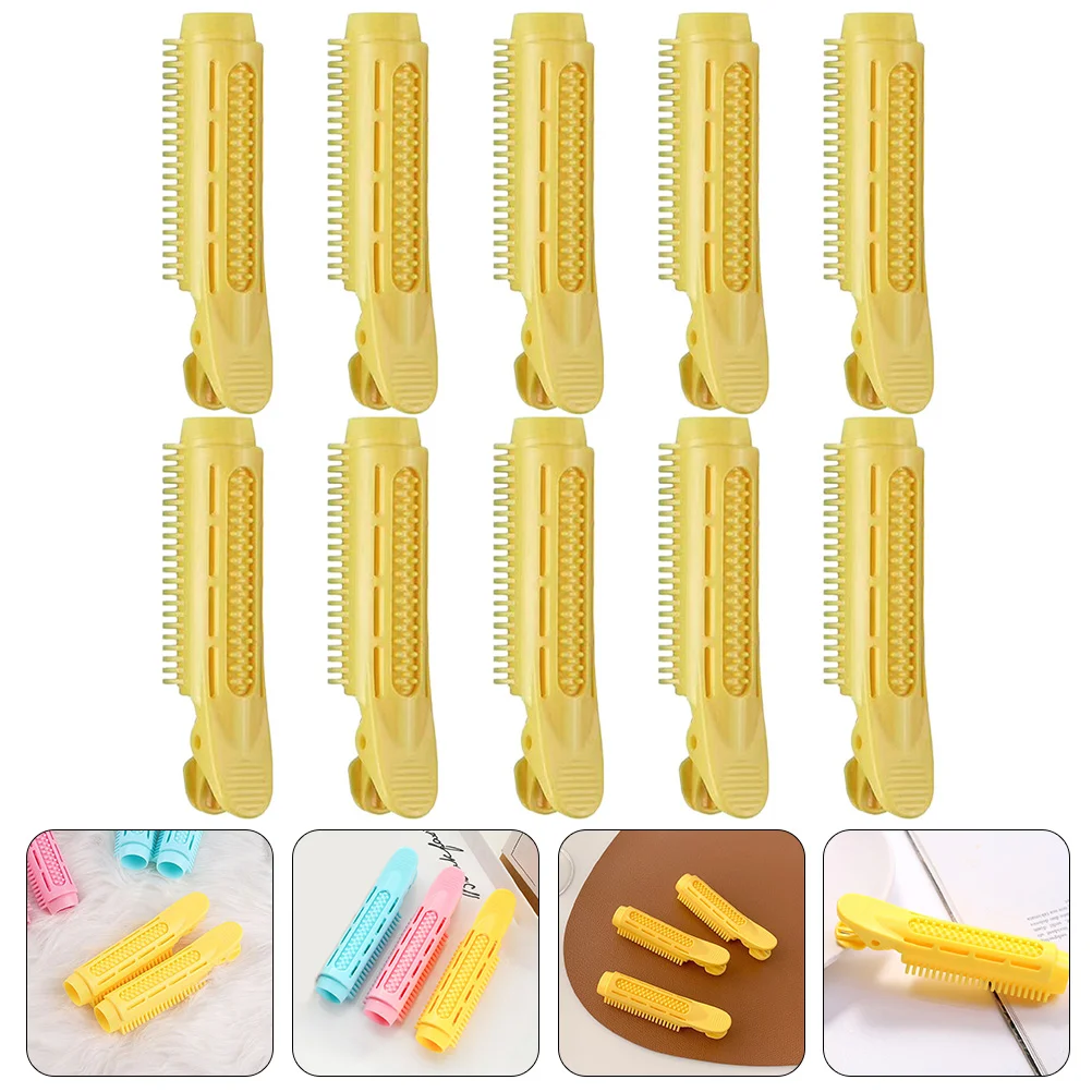 

10 Pcs Stereotypes Hair Curler Miss Rollers Clips for Women Abs Fluffy Volumizing