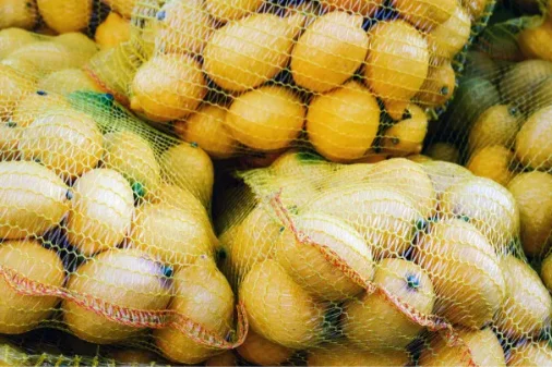 2025 مصنع الصين بالجملة 50 كجم البرتقال النار الخشب HDPE شبكة حقيبة تغليف الفاكهة للزراعة