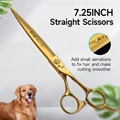 7.25 inch gold