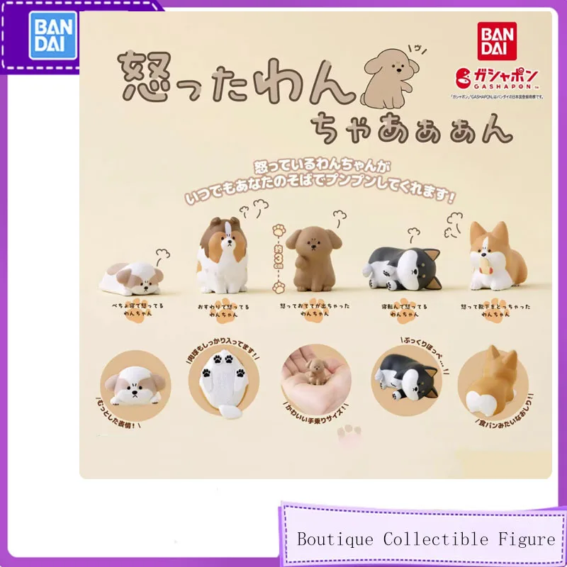

Bandai 5pcs Original Gashapon Angry dog Shiba Inu Action Figure Anime Collectible Cute Desk Decor Mini Toy Gift for Adults Kids