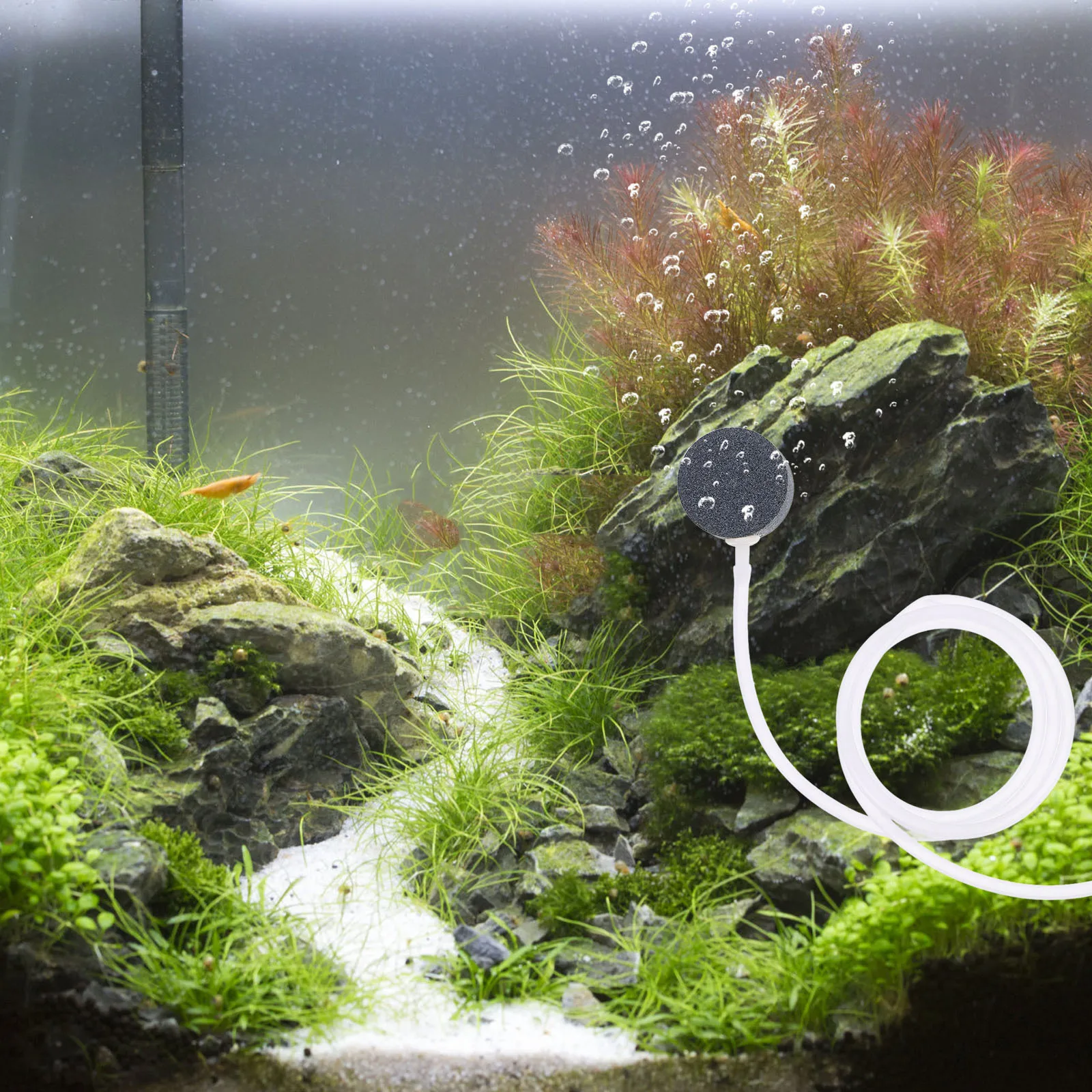 

1Set Aquarium Oxygen Pump Portable Powered USB Oxygenator Fish Tank Aeration Air Pump USB Oxygenator