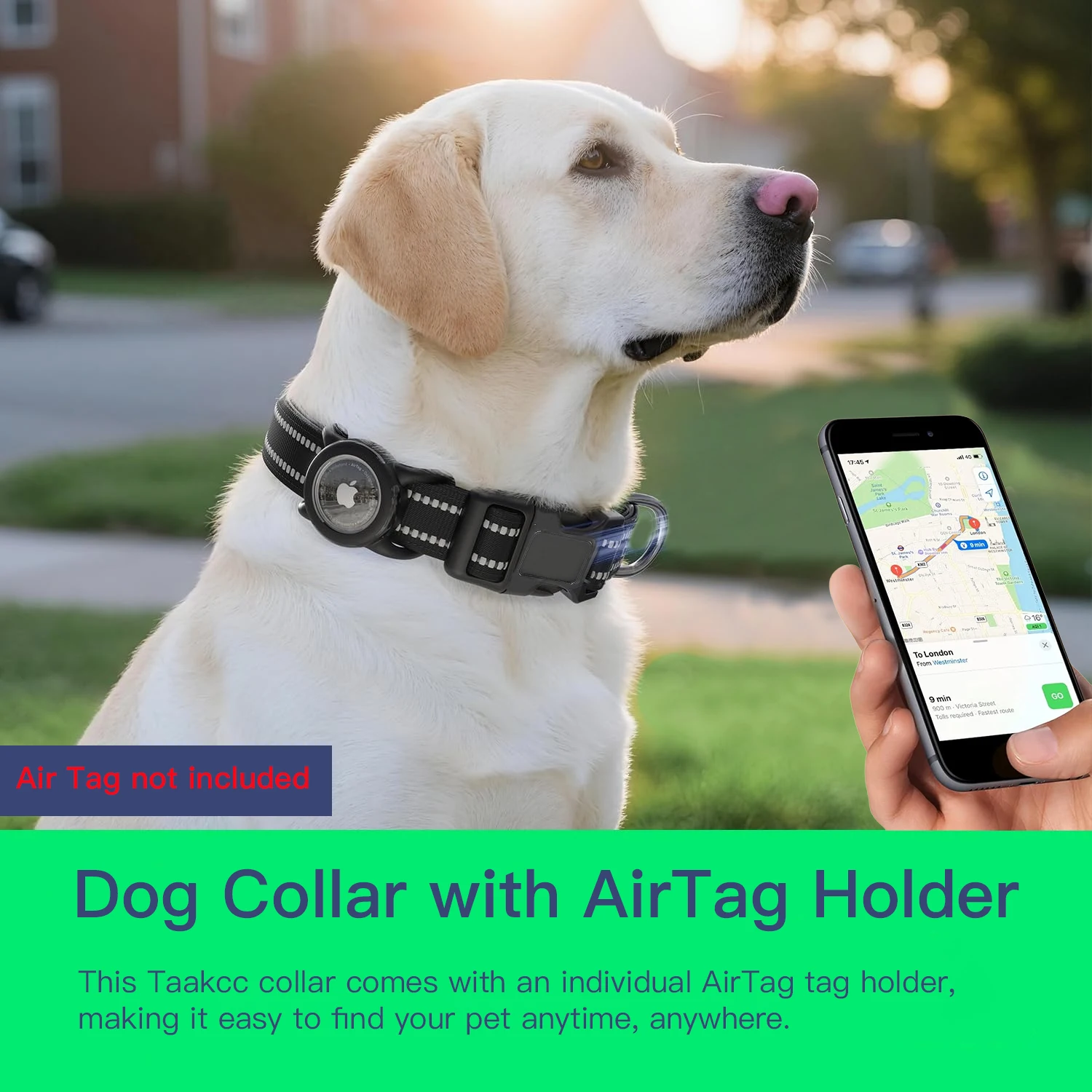 Thumbnail 3 - #61 Pet Collars List of Top Picks