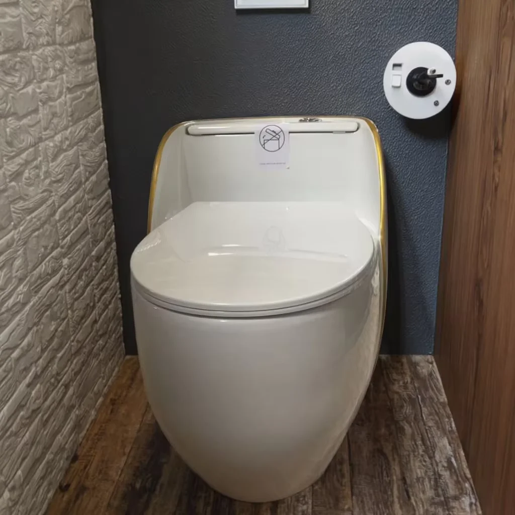 Modern Luxury One-Piece Elongated Toilets Siphon Flushing Ceramic Basin with S-Trap Drainage for Home & Villa Use