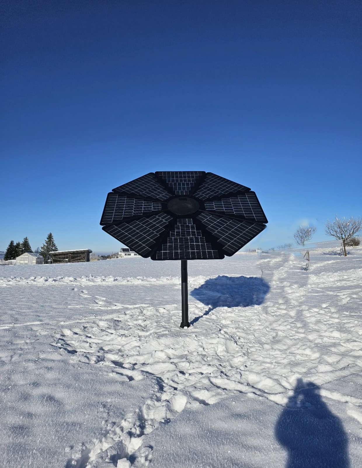 Hot Sale Outdoor Sunflower MPPT 1000 Watt Complete Solar Flower System for Home Photovoltaic Solar System