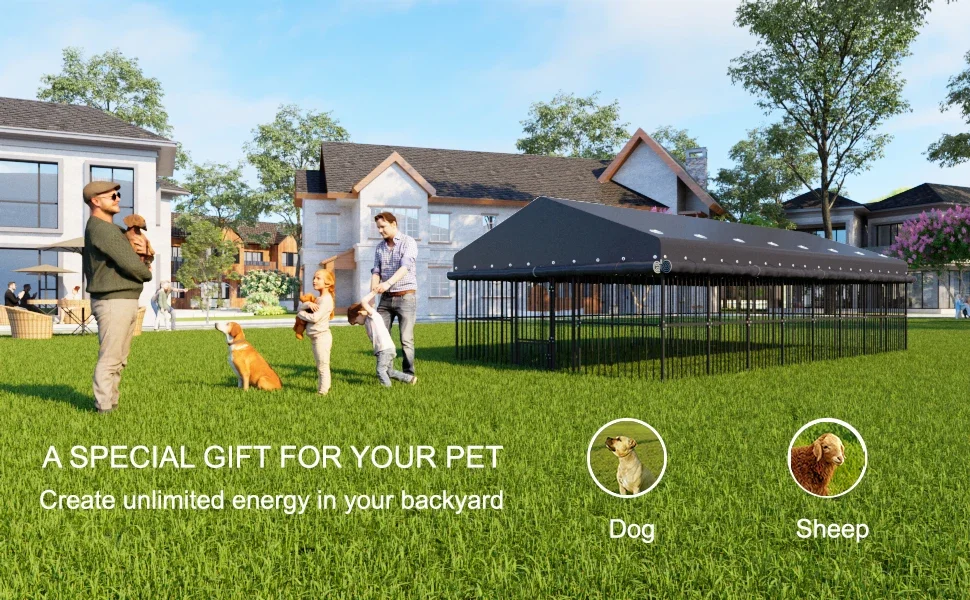 Dog Cage