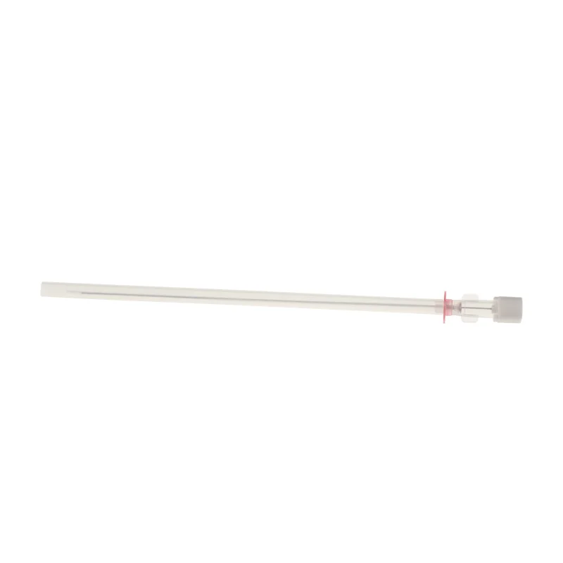 Canack Medical Veterinary Disposable Cat Catheter Pet Catheter With Stylet  3Fr 1pc/3pcs/5pcs/10pcs/20pcs High Quality