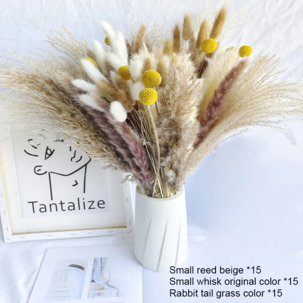 Natural Pampas Grass Decor Fluffy Dried Flowers Bouquet for Wedding Farmhouse Table Decor Boho Country Home Decor