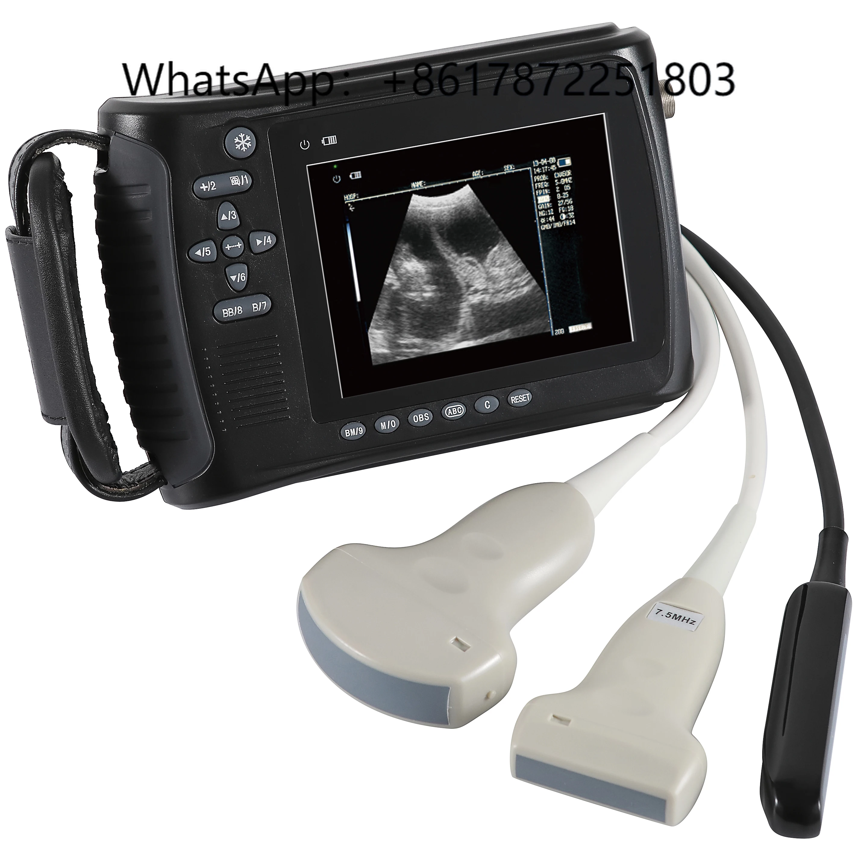 

Handheld Portable Veterinary Convex Probe Full Digital Machine Ultrasound Scanner Price for Cow Dog Cattle Animal