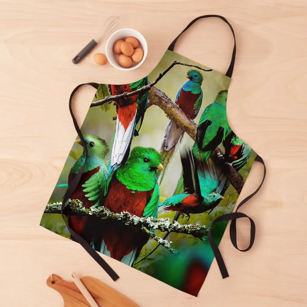 

Quetzal Apron kitchen woman For Man Apron