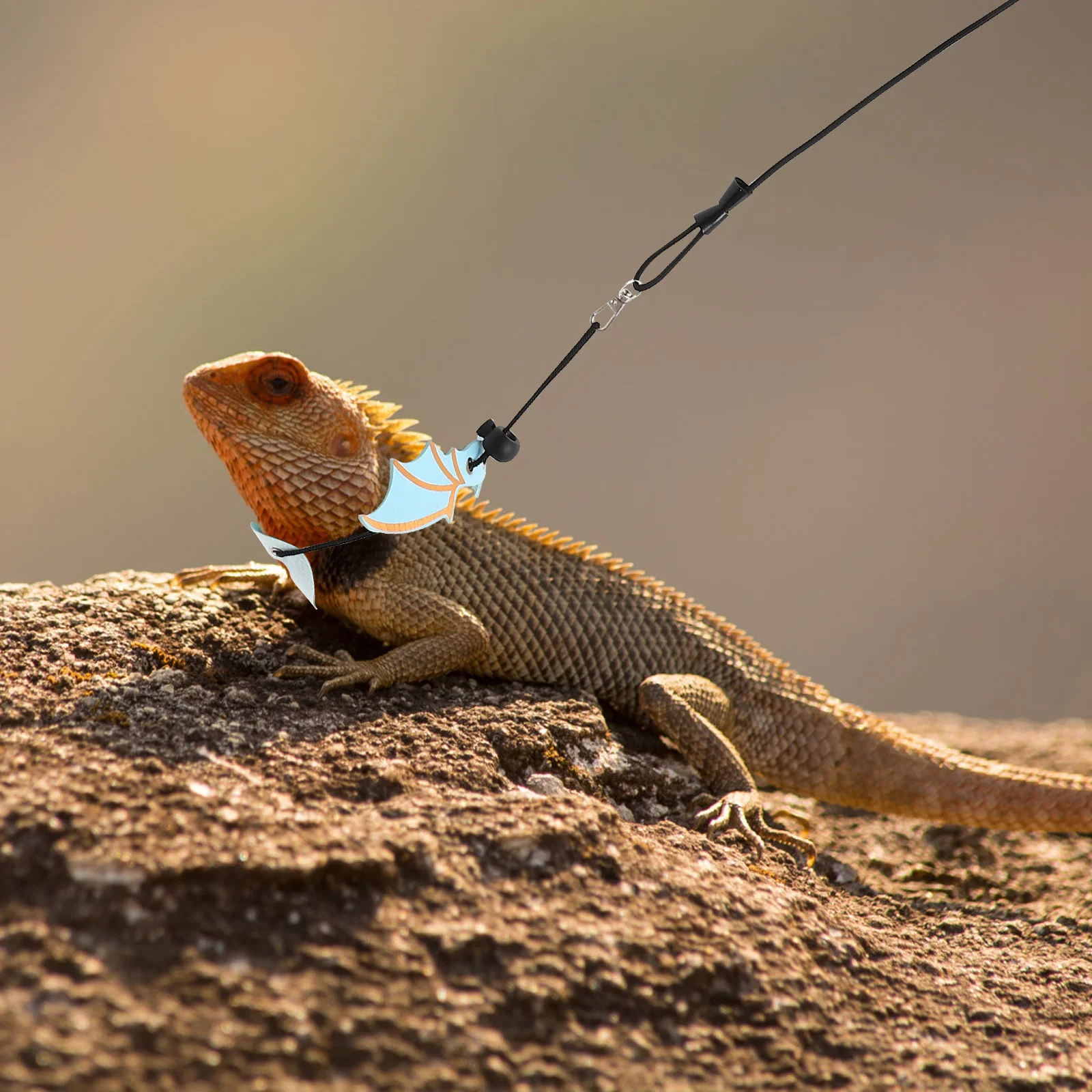 

1Set Lizard Carrier Bag Portable Large Size Reptile Sling Adjustable Strap Outdoor Travel Leash Small Pet Carrier