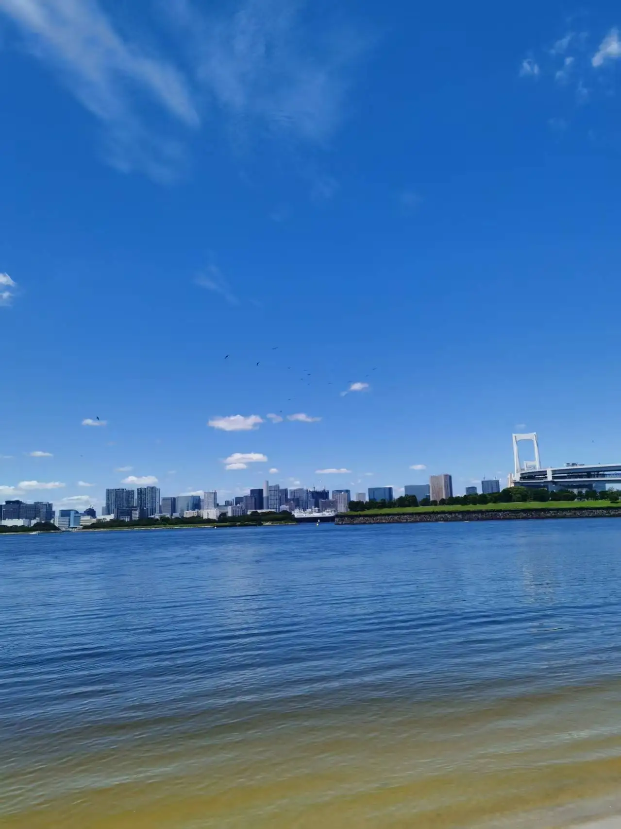 

Компенсируйте разницу. Ссылка на продукт. Игрушка. Детский подарок.