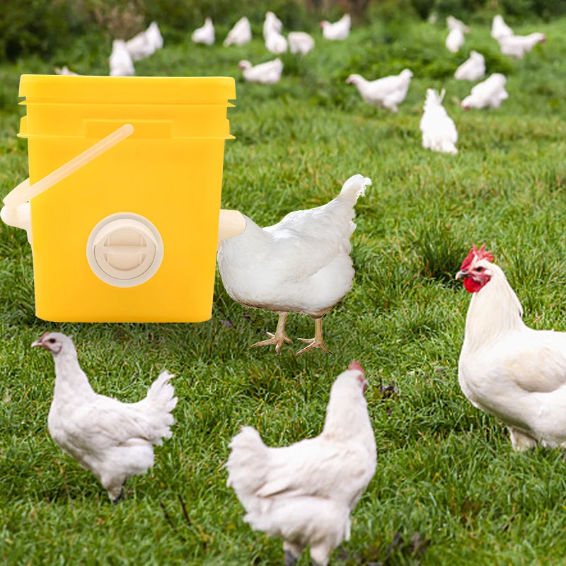 مجموعة أدوات تغذية الدجاج والبط والأوز سعة 10 لتر مع 8 أكواب تعبئة تلقائية و4 منافذ للحلمات الأفقية للدواجن
