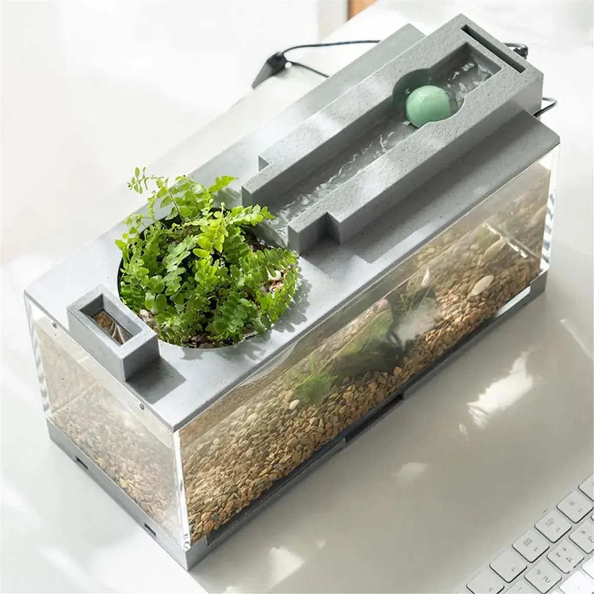 

【Price Drop】Landscape fish tank