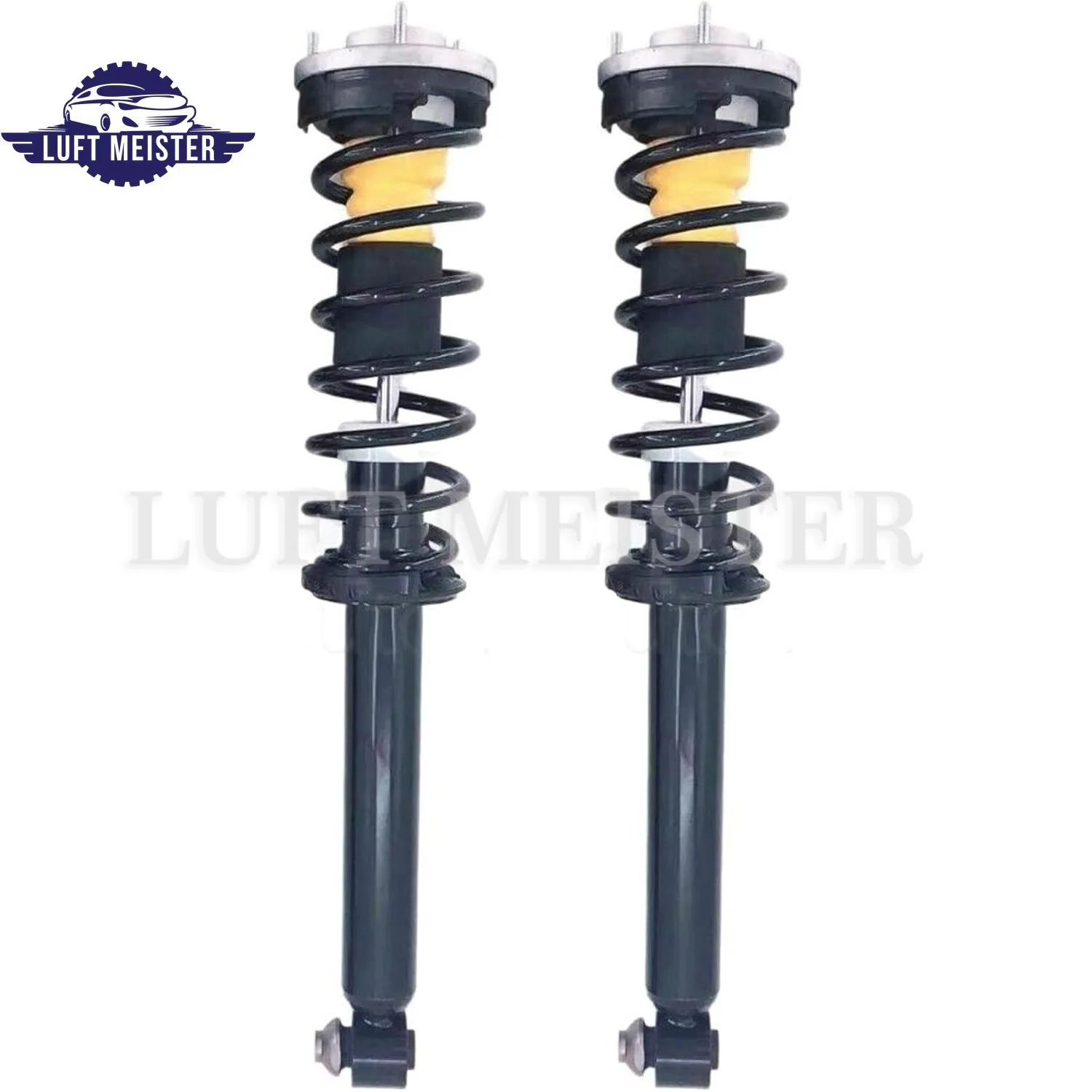 

2pcs Rear Shock Struts Assembly For BMW 5 F10 F11 F12 F13 F18 528i 535i 550i 650i 2011-2016 33526784015 33526784019
