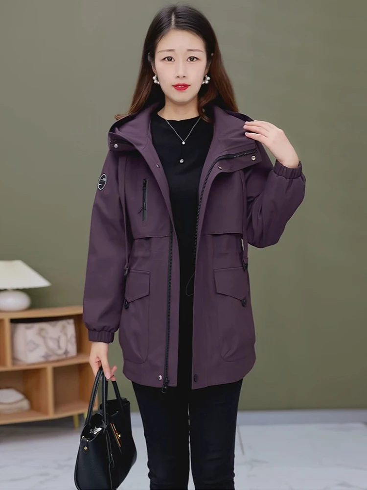 เสื้อฮู้ดสไตล์เกาหลีลำลองสำหรับผู้หญิง ทรงหลวม ไซส์ใหญ่ เหมาะสำหรับต้นฤดูใบไม้ร่วง ให้ความรู้สึกสบายๆ ทันสมัย