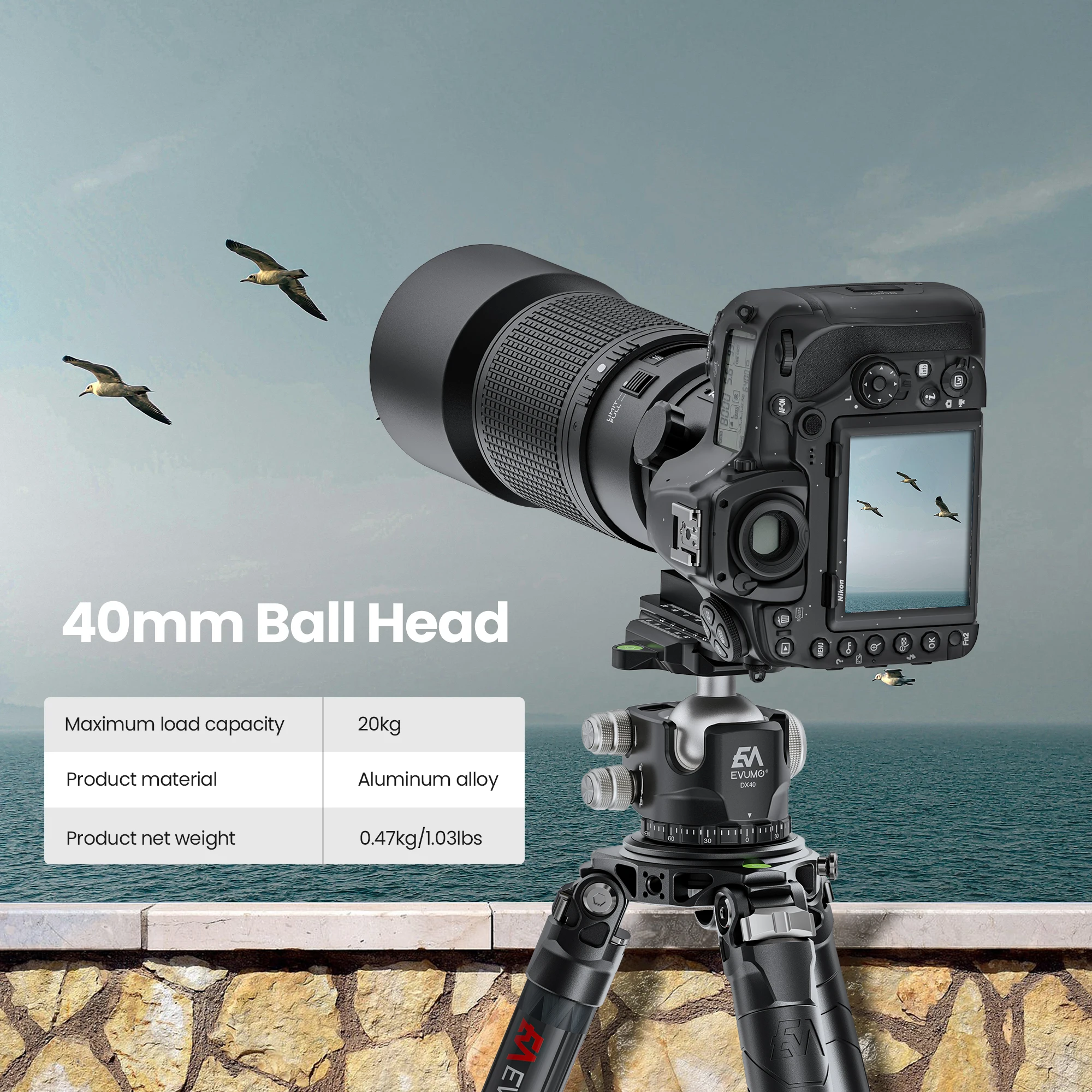 EVUMO Tripod Ball Head Camera Mount 40mm Monopod Head Aluminum Alloy DX40 Arca Swiss Quick Release Plate 1/4