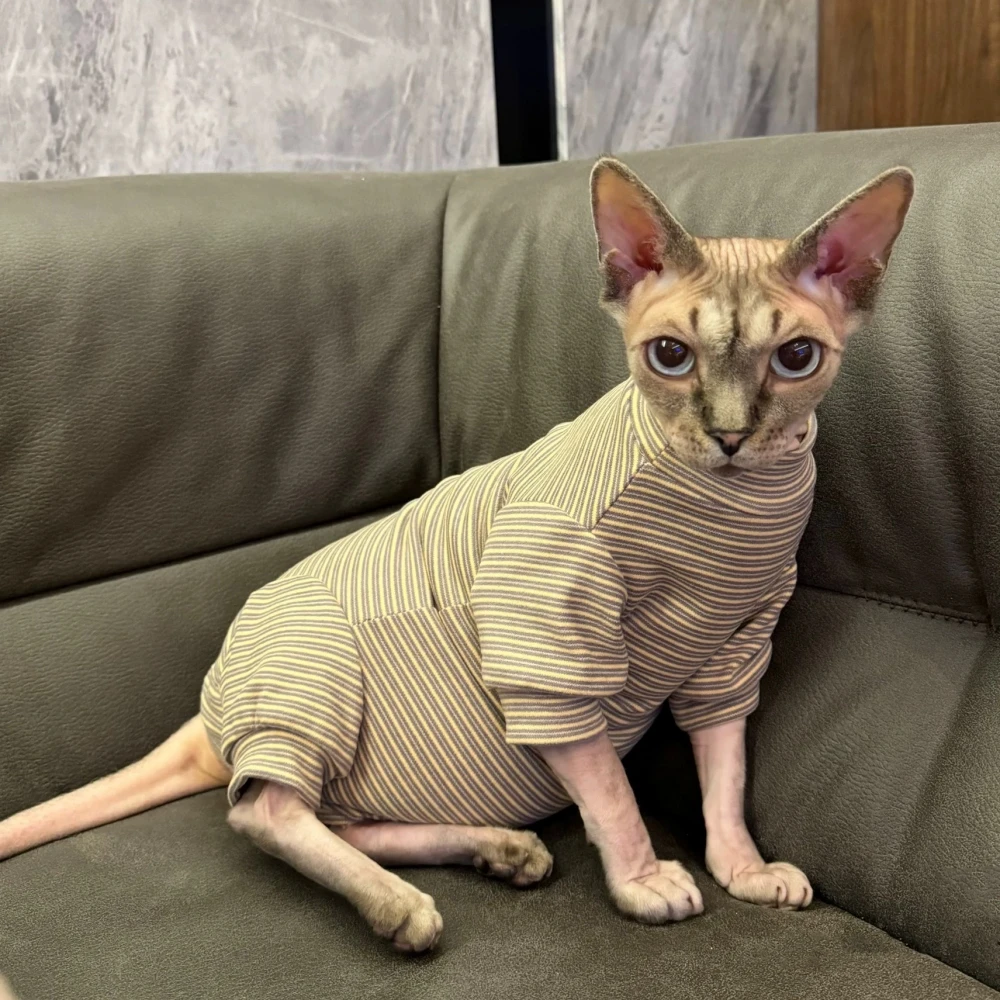 Warm Cotton 4-legged Striped Coat for Sphynx Cat Spring Elestic Jumpsuit for Kittens High-Neck Winter Undershirt for Devon Rex