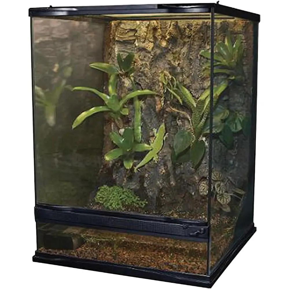 NT-4 Naturalistic T…