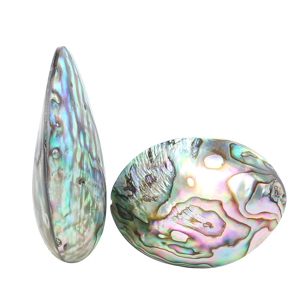 Natural New Zealand Abalone Seashell Colorful Double Arc Surface Single Side Hole Shell Bead Ornament Ladies Jewelry Accessories