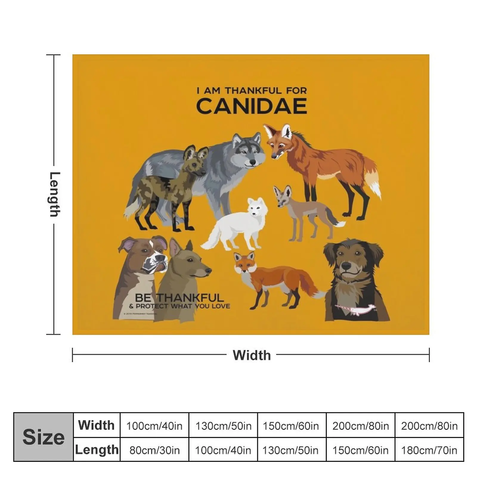 I Am Thankful For Canidae Throw Blanket Weighted sofa bed For Decorative Sofa Blankets