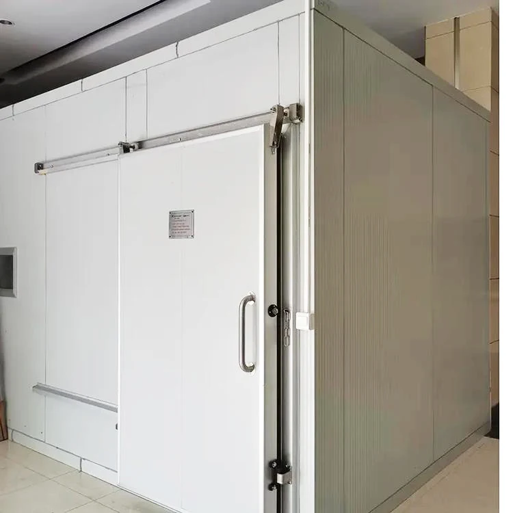 High Efficiency Commercial Refrigeration Freezer Cold Room Mobile Cold Storage Room with Pre-cooling Door Mini-cold Room