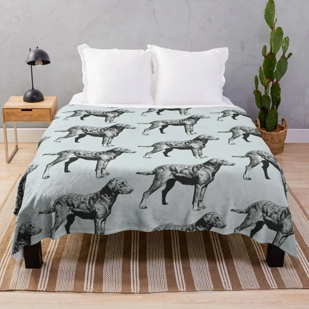 

Chesapeake Bay Retriever Throw Blanket Travel Size Cozy Blanket for Plane Train