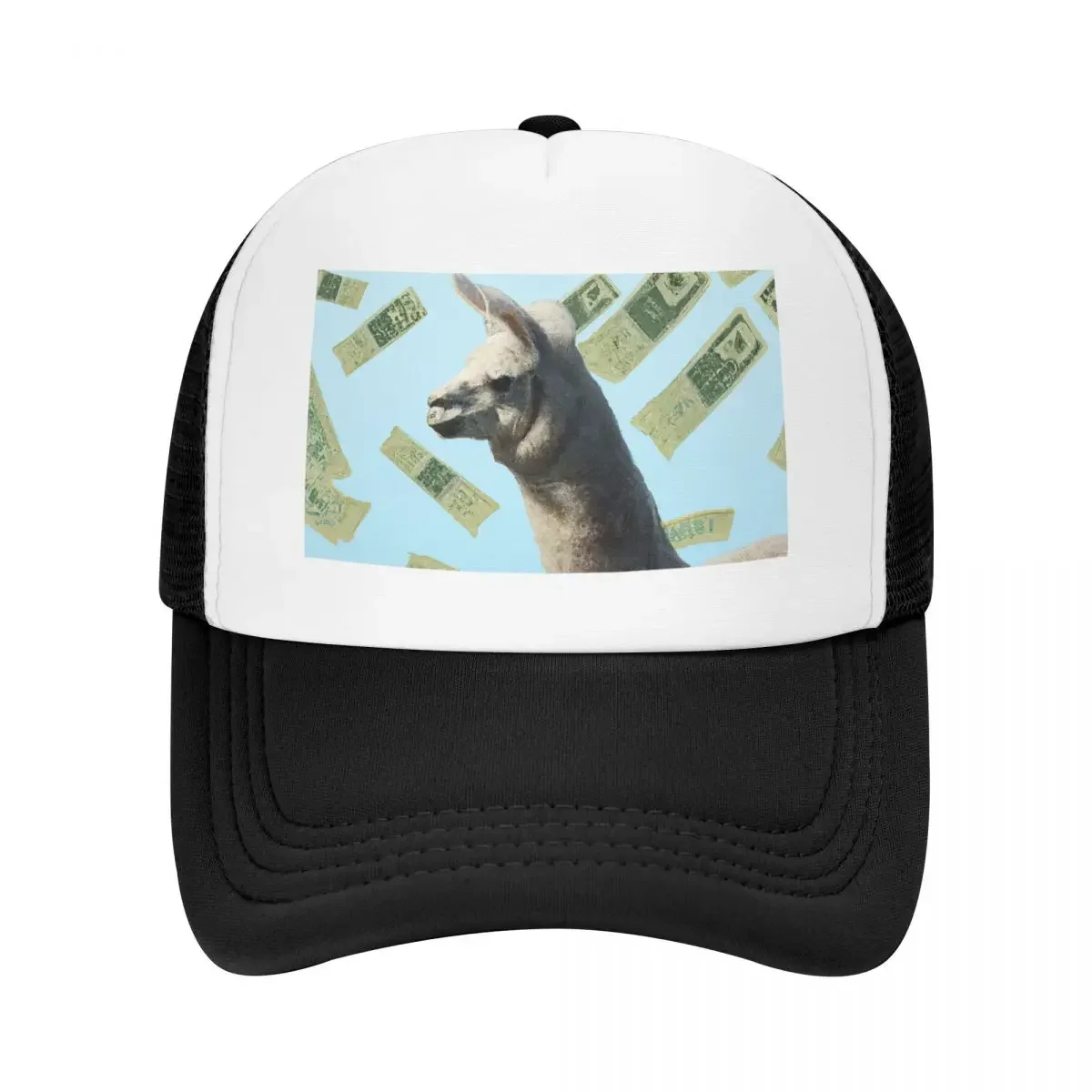 Raining Money on Llama Baseball Cap sun hat Icon Boy Women's