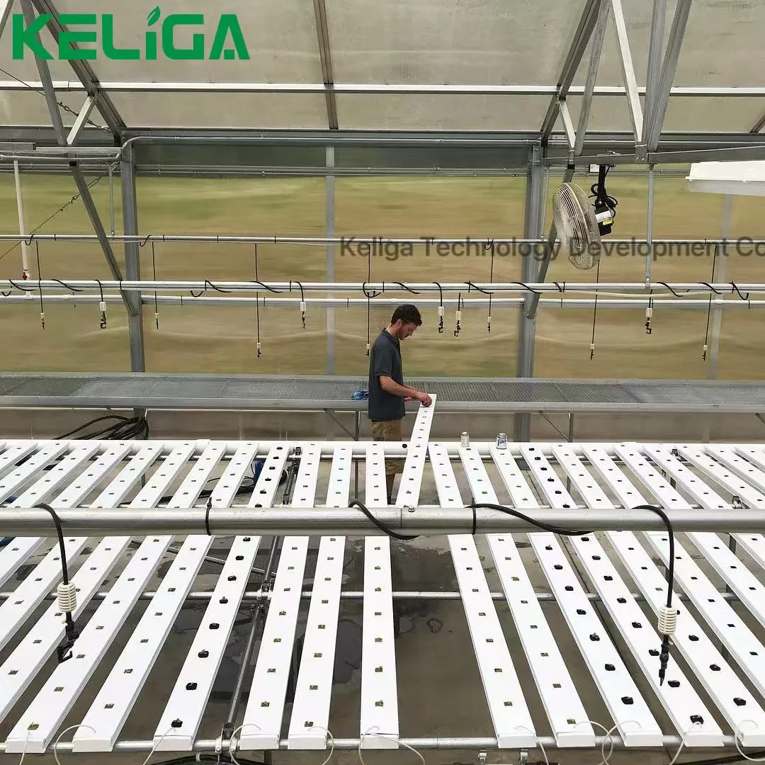 Hydroponic Lettuce Growing Panel NFT Systems Hydronic