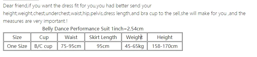 Belly Dance Professional Compeitition Suit for Women Bellydancing Bra+Fishtail Skirt 2pcs High-End Custom Oriental Dance Outfit