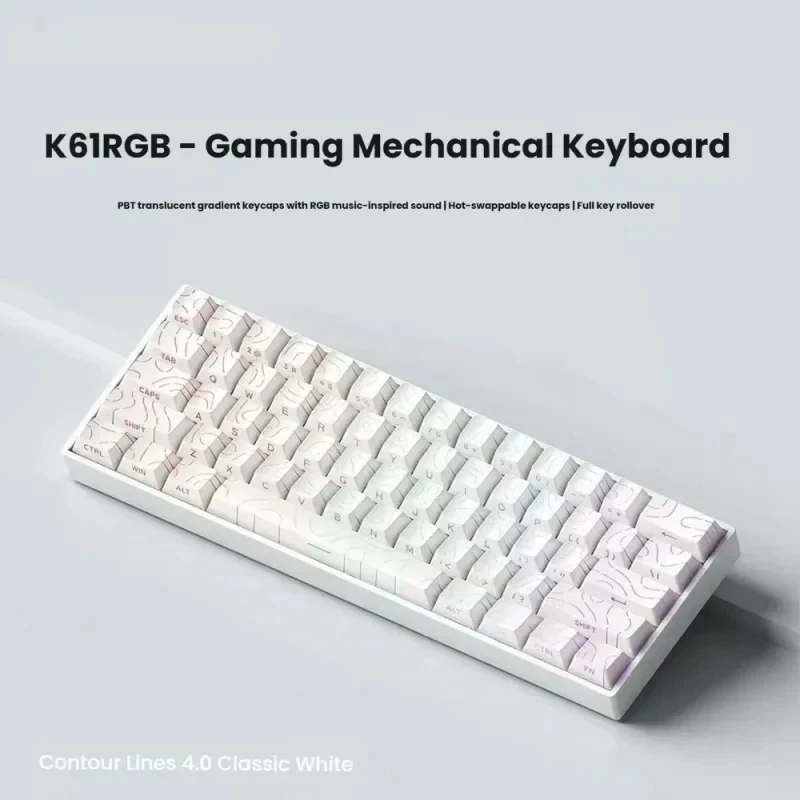 2026 Hot X68 HE Quick Trigger Keyboard 8000Hz Magnetic 0.01mm RT Precision Wired Ergonomic Game Esports Keyboard Win Macos New.