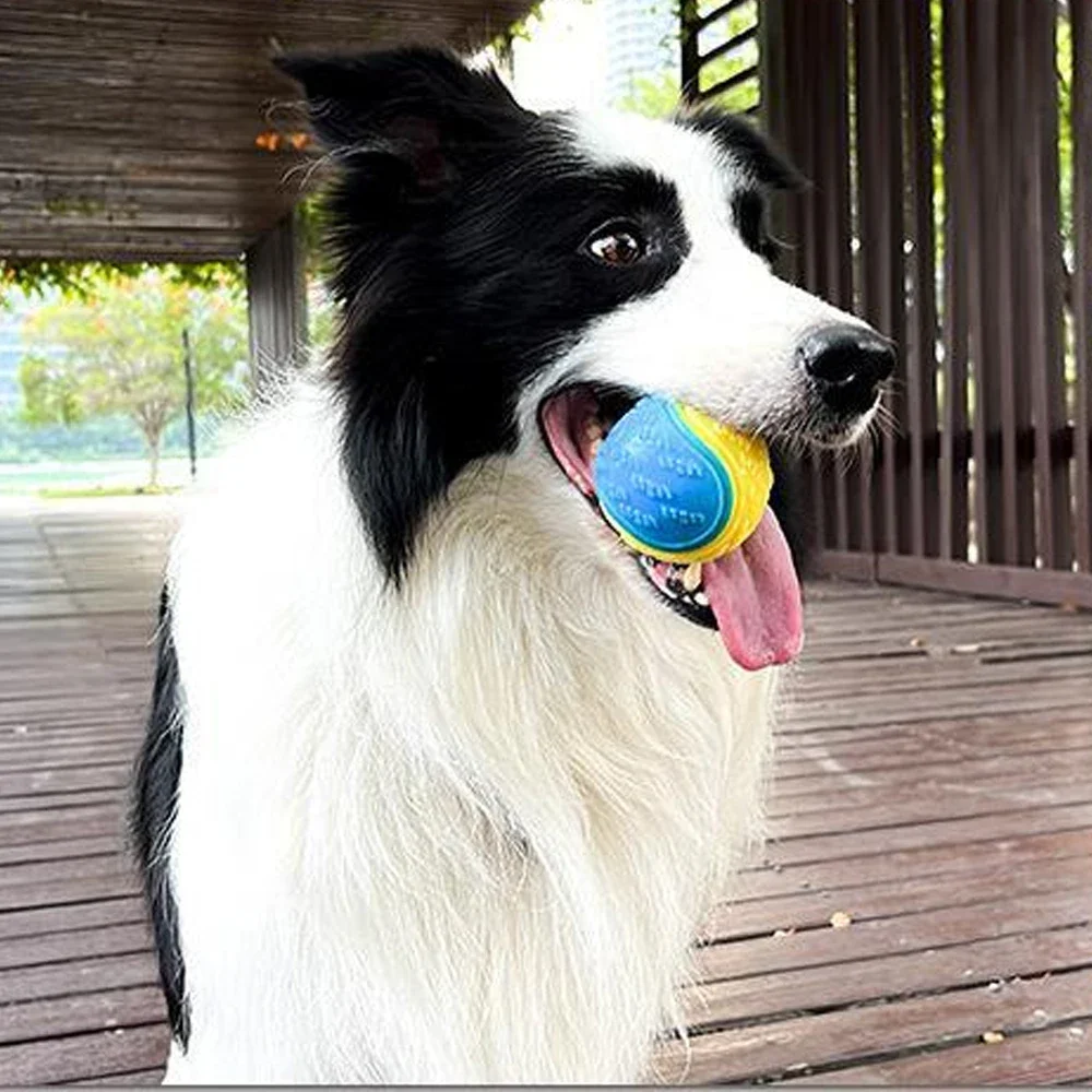 Squeaky Silicone Dog Chew Ball 5
