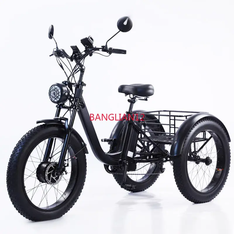

Snow and land universal pedal bike electric variable speed tricycle 20-24 inches