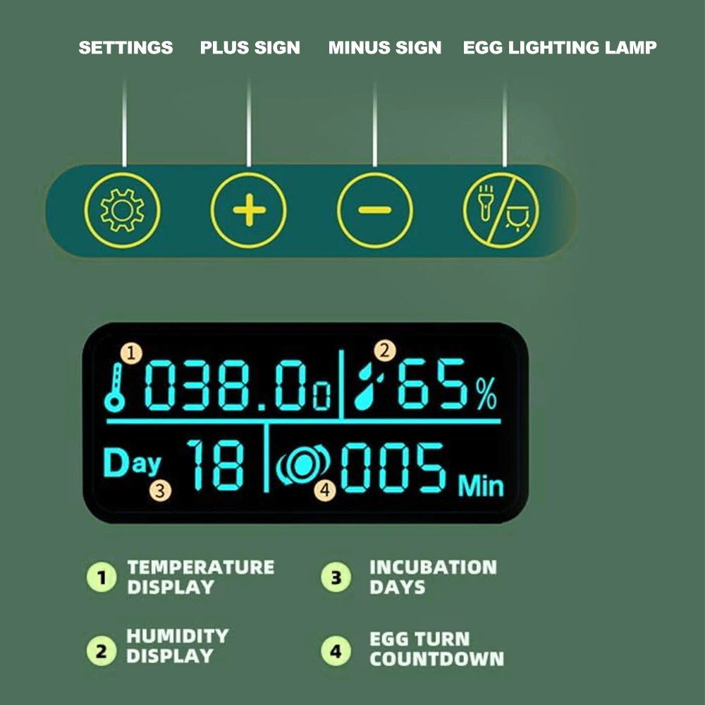 Incubatrice per uova da cova tornitura automatica delle uova 10 uova LED schermo di visualizzazione dell'illuminazione efficiente multifunzionale per gli allevatori