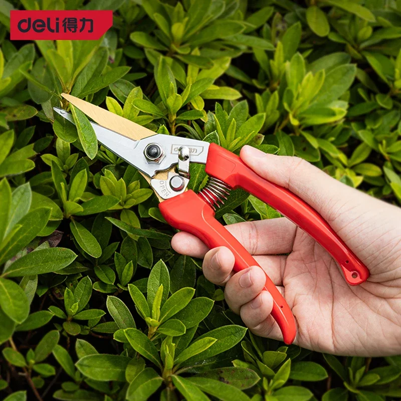 Deli Garden Tool 2 Pcs Gardening Scissors Sets Anti-Slip Handle Professional Pruner Shears Bonsai Orchard Chopper Pruning Tools