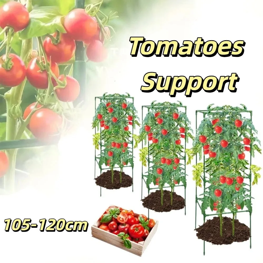 

Durable Plant Climbing Trellis Easy Assembly Space-Saving Tomato Cages Heavy-Duty Steel Stackable Stakes Vegetable Trellis