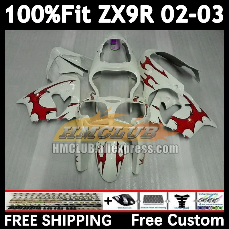 Injection Body For KAWASAKI NINJA ZX 900 9R 9 R 2002 2003 166No.10 white red ZX900 ZX-9R ZX9 R 900CC ZX9R 02 03 OEM Fairings