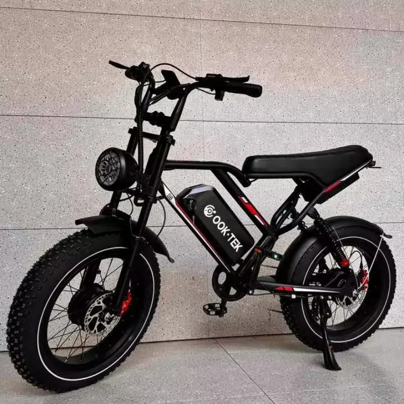 

STLF Brushless Dual-motor Electric Bike, Electric Bike 20-inch Wide Tires, Top Speed 19 MPH Electric Bike