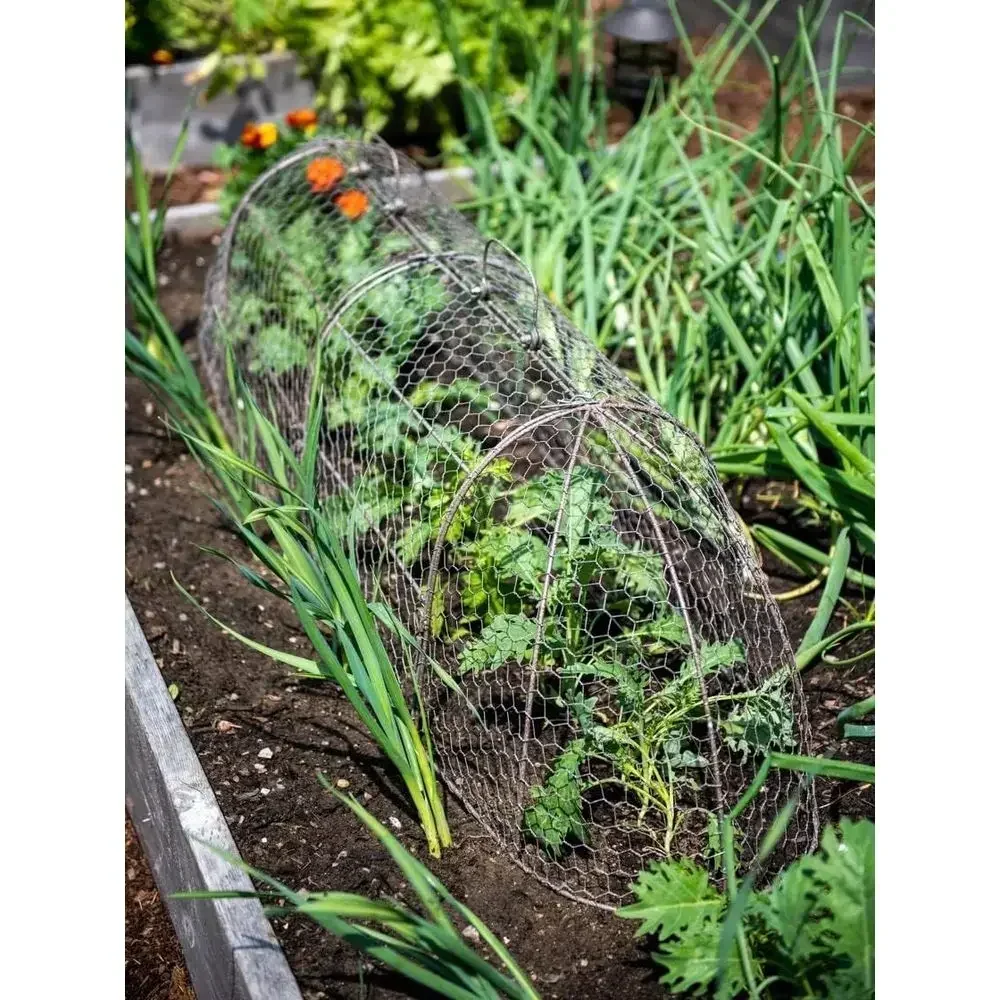 Chicken Wire Arch Cover for Garden Plants - Extra Large Metal Tunnel Cage Set Protecting from Wildlife