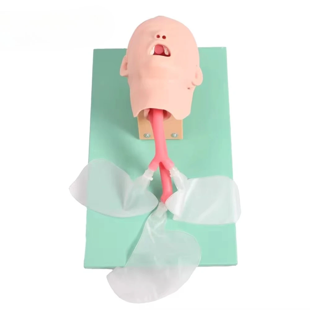 Children Endotracheal Intubation Training Model Learning Teaching Model Endotracheal Intubation Emulator
