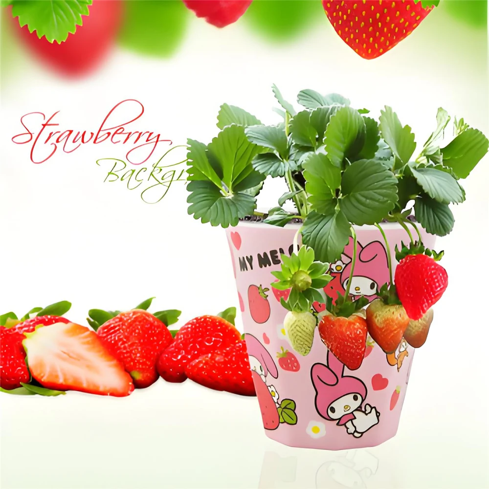 Strawberry Planting Experiment Potted Fruit Fragrant Flowers Plants Portable Tool for Observation of Plant Growth Potted Fruits