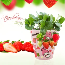 Strawberry Planting Experiment Potted Fruit Fragrant Flowers Plants Portable Tool for Observation of Plant Growth Potted Fruits