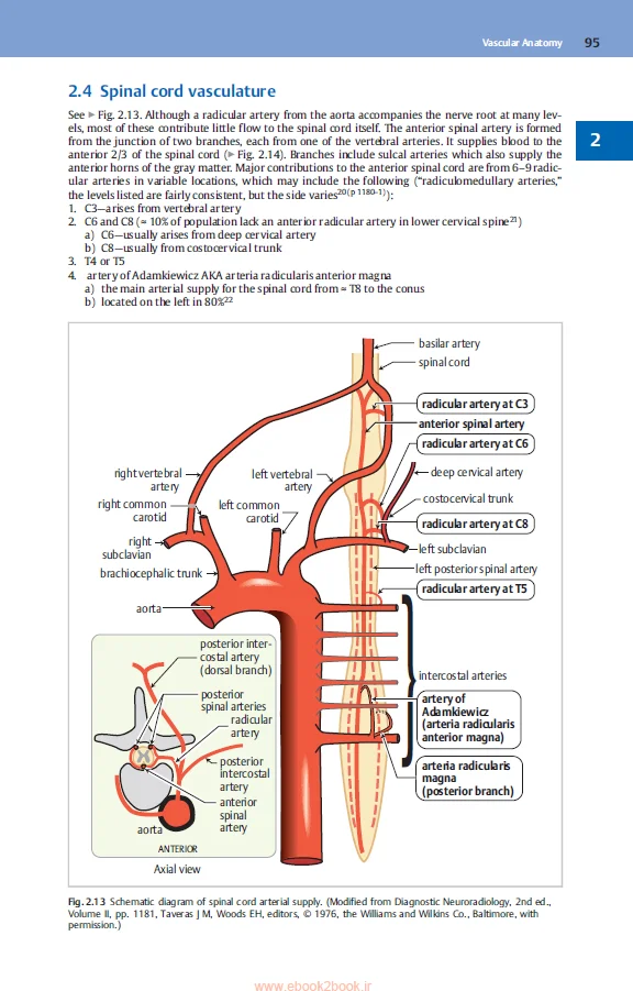 Handbuch der Neuro chirurgie 9.