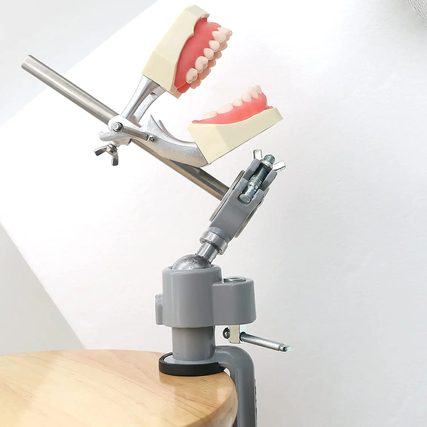 Dental Typodont Model Compatible with Kilgore Nissin 32 Removable Teeth and Simulation Cheek for Dentist Teaching Study Demo