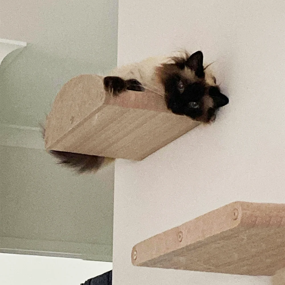 

Wall Mounted Cat Perch Long Frame Floating Hammock Felt Cat Bed Feline Enriched Climbing Furniture for Indoor Cats