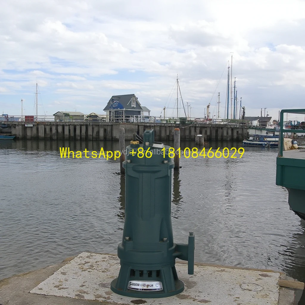 

Single Solar Pump Iron Submersible Electric for Clean Water for Sewage Marine Machining Applications High-Pressure Customized