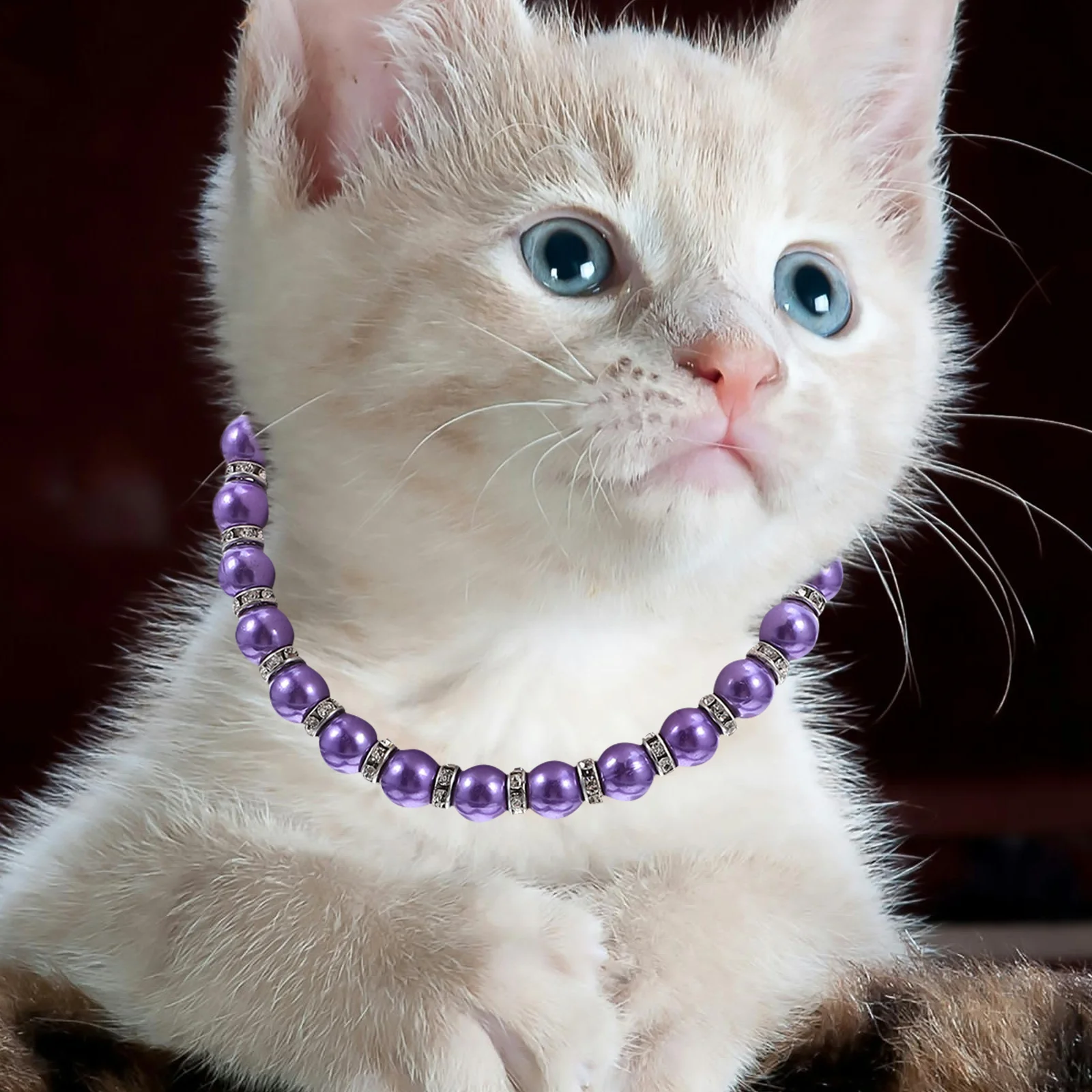 

Dog Cat Necklace Imitation Pearls Bling Accessories Ribbon Bow Elegant Jewelry for Female Dogs Cats Purple Easy Maintenance