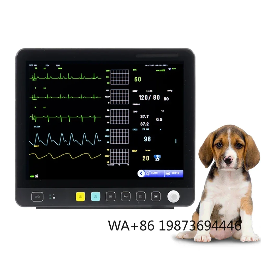 

15 Inch Veterinary Multiparameter Monitor Capnograph for Pet Clinic