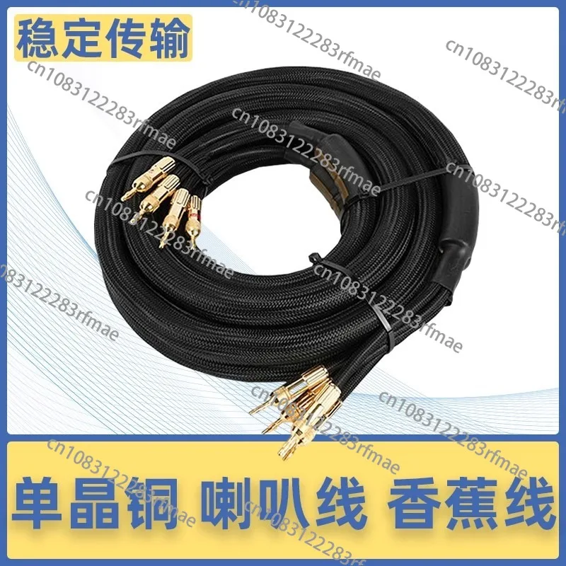NEW A Pair Choseal 6N OCC Audiophile HIFI Speaker Cable 24K Gold-plated Banana Plug Top Level Speaker Cable 9.5MMx2.5M LA-5101